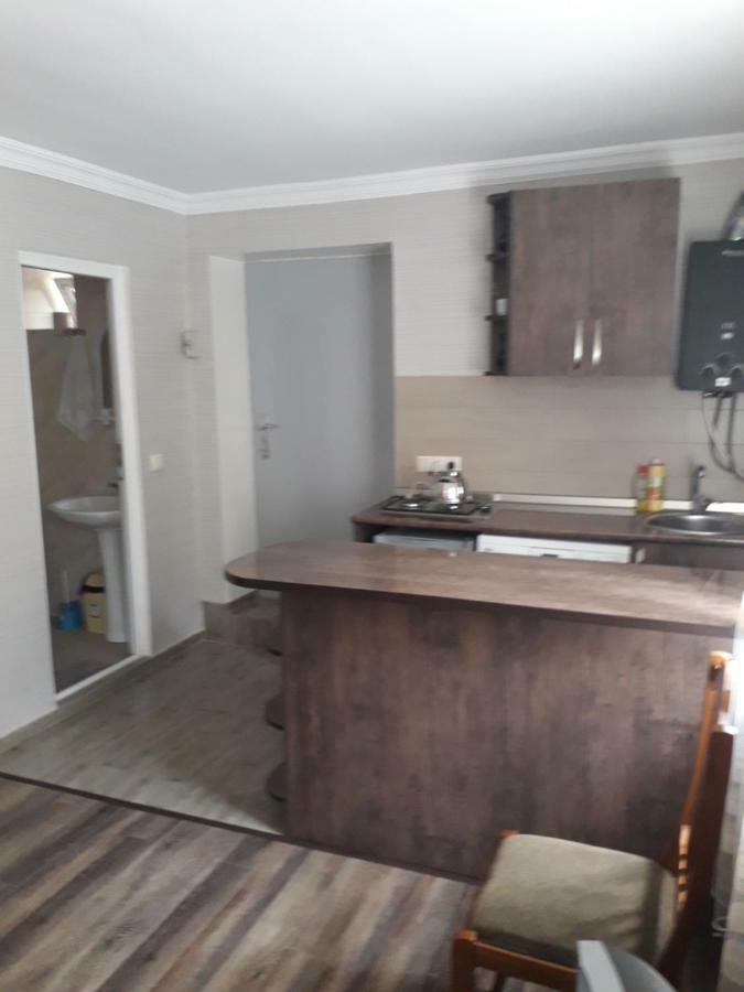 Apartament Sofia Apartment Боржоми Екстериор снимка